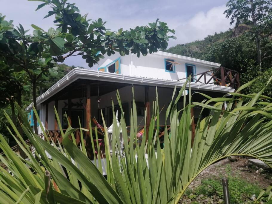 Mi Hermosa - Casa Islena A 70 Metros De La Playa Archibolds Dış mekan fotoğraf